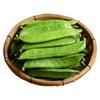 Semillas de Verduras Sembradas en Macetas para Todas las Estaciones, Balcón Patio, Cilantro, Hojas Verdes, Frijoles, Lechuga, Chalotes, Semillas de Espinaca