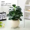 Planta Verde Artificial em Vaso para Escritório, Decorações de Mesa Interna para Sala de Estar de Alto Padrão, Plantas e Flores Artificiais, Adereços para Fotografia