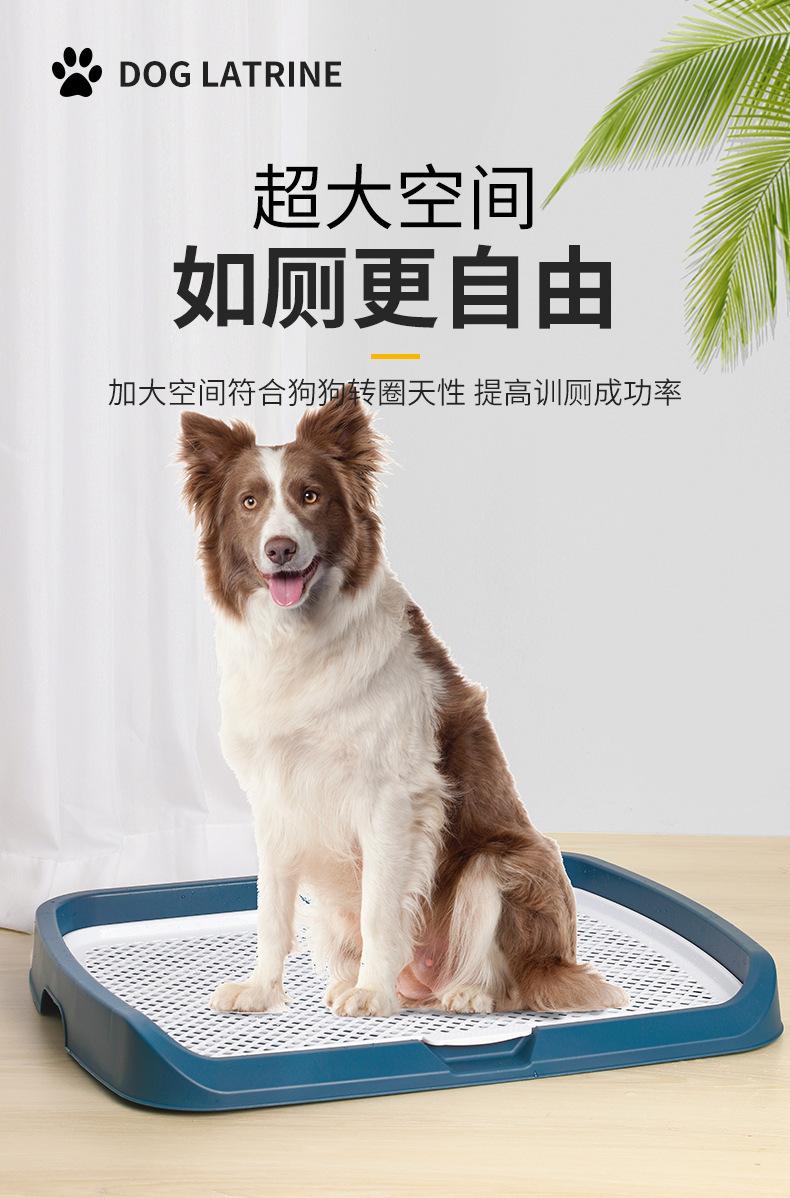 最新详情_01.jpg