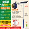 Iluminação Solar Externa Yinglang Projeto Municipal Nova Área Rural Led Super Brilhante 6m Conjunto Completo com Sensor Poste de Rua