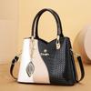 Bolso de Hombro Nicho de Alta Gama Bolso Cruzado para Mujer 2025 Nuevo Bolso Tote Commuter de Gran Capacidad Portátil para Mamá