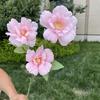 Flores de simulação rosa 2.5 yuan série auditório de casamento decoração de hotel flores falsas atacado