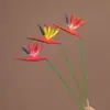 Flores de Ave-do-Paraíso Mini Artificiais Mais Vendidas Transfronteiriças, Plantas Verdes para Construção de Jardim, Decorações de Folhagem Falsa, Adereços de Fotografia