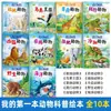 La Historia Clásica del Viaje al Oeste, un Conjunto de 10 Volúmenes de Libros Ilustrados para Niños Sin Notación Fonética, Libros para Contar Antes de Dormir, Libros Ilustrados para Niños