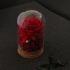 Regalo del Día de la Madre Clavel Botella de los Deseos Diente de León Flor Eterna Rosa Regalo de Cumpleaños Hecho a Mano Venta Caliente Transfronteriza