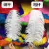 Directo de fábrica 15-80 cm pluma de avestruz grande accesorios decorativos para escenario boda actuación arreglo floral lámpara pluma blanca