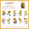 Paquete de Pegatinas Fantasma Oscuro Transfronterizo: Serie de Colores Florales, Material de Collage Decorativo para Diario Floral con Temática de Bosque, Incluye 10 Piezas