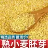 Listo para comer germen de trigo cocido desayuno instantáneo sustituto de comida bebida germen de trigo dorado auténtico enriquecido con selenio
