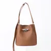 Nova Bolsa Saco de Luxo Leve, Estilo Nicho para Mulheres, Nova Bolsa de Ombro de Grande Capacidade para o Dia a Dia