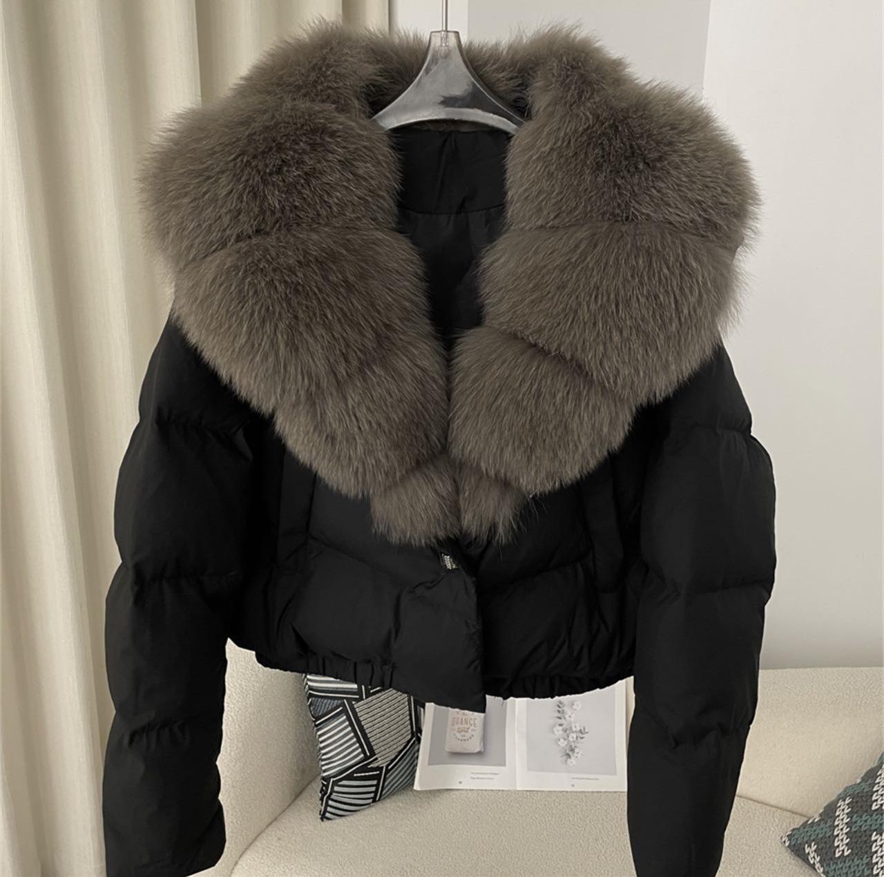 微信图片_20241112123337