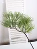 Pino Negro Falso, Pino Cola de Caballo, Abeto, Pino de Cinco Agujas, Arborvitae, Ramas de Pino, Acículas de Pino, Hojas Verdes de Tuya Atrezzo