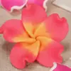 Identificación de Insignia Fácil de Tirar Hecho a Mano Hebilla Retráctil Flor Hawaiana Pequeña Fresca Arcilla Suave Hebilla de Frangipani