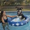 Boia inflável de PVC personalizada para piscina, cama flutuante para cachorro e filhote, animal de estimação grande, cachorro, gato, piscina flutuante