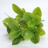 Suministro Directo de Fábrica de 7 Plantas Verdes Simuladas de PVC, Estrellas de Rábano Verde, Hojas Falsas, Regalos, Decoración de Habitación de Boda, Adornos Decorativos