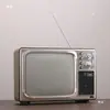 Modelos de Objetos Antigos Nostálgicos Retrô: TV Preto e Branco, Toca-Discos, Telefone, Celular Vintage, Adereços para Fotos, Decorações