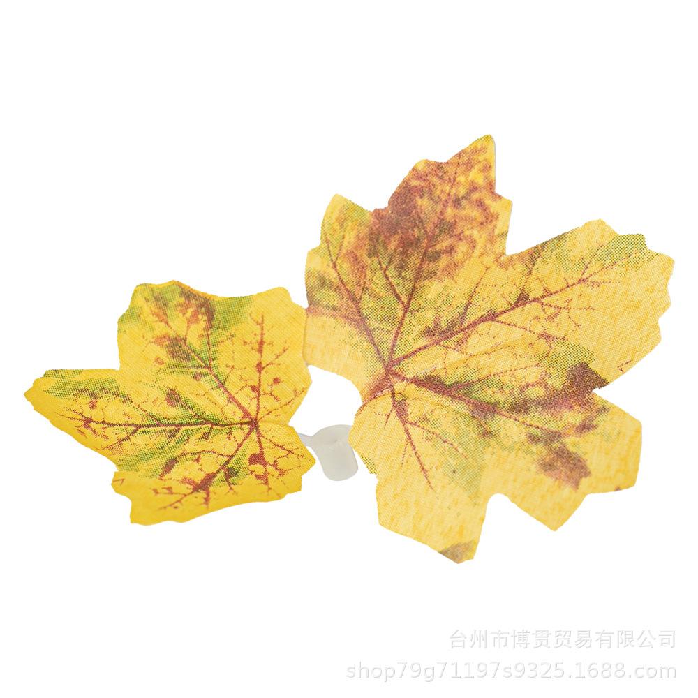 枫叶24.jpg