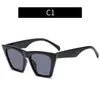 Nuevas Gafas de Sol Cuadradas Estilo Ojo de Gato Europeas y Americanas, Gafas de Sol Personalizadas de Moda para Fotografía Callejera y Pasarela, Gafas de Sol de Moda Transfronterizas