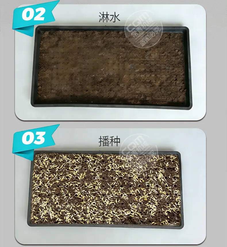 详情 (4).jpg