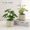 Plantas Verdes, Vasos Pequenos, Árvore da Fortuna Semelhante para Mesas de Escritório Internas, Mesas de Centro de Sala de Estar, Flores Artificiais e Arranjos Florais