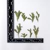 Rama de crisantemo flor seca planta especimen en relieve DIY gota de pegamento funda de teléfono móvil flor seca vela perfumada marco de fotos marcapáginas