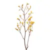 Flor Eterna Garra de Canguro Estilo Bosque Flores Secas Naturales y Ramas Ramo Real Lujo Decoración para el Hogar Venta al por Mayor desde Fabricante