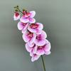 Phalaenopsis de 9 cabeças com toque de mão impressão 3D alta simulação sobre fita Phalaenopsis comércio exterior flor falsa de alta qualidade flor artificial