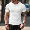 Amazon Comércio Exterior Transfronteiriço Desejo Masculino Verão Esportes Fitness Casual Gola Redonda Elástico Listras Verticais Gola Redonda Manga Curta Camiseta