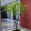 Simulado sino japonês para janela, cavalo bêbado, madeira nórdica, decoração para ambientes internos e externos, grande árvore falsa, paisagem, plantio verde
