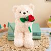 Muñeco Oso de Peluche Oso Flor Oso de Peluche Oso Pareja Oso del Cuidado Oso Regalo de Confesión Lote de Muñecos Oso