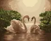 Pintura al Óleo Digital Fabricante Mayorista Animales Anime Pintura Acrílica para Sala de Estar Puesto Callejero 30*40 Coloreado Marco de Madera Maciza