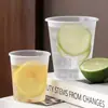 Vaso Desechable, Vaso de Aviación Engrosado Resistente al Calor, Vaso Duro, Vaso de Plástico Escarchado de Grado Alimenticio, Vaso Espacial, Vaso de Agua de Alta Gama