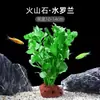 Plantas de Acuario, Decoraciones de Paisajismo con Césped Real, Plantas Aptas para Principiantes, Crisantemo Verde Ciempiés, Plantas de Sombra, Piedra Volcánica, Plantas Verdes Purificadoras de Agua