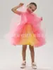 Día del Niño Disfraz de Performance Anfitrión Sencillo Fiesta de Cumpleaños Vestido de Princesa de Malla Voluminoso Brillante Vestido Colorido Transfronterizo