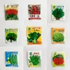 Sacos Transparentes para Doces, Sementes, Grama, Flores, Vegetais, Embalagens Florais, Presentes para Crianças, Brinquedos para Estudantes - Pacotes Pequenos Transfronteiriços
