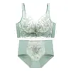 Sujetador Push-Up Pequeño de Encaje Bordado para Mujer, Grande Push-Up Anticaída, Reductor de Senos, Juego de Sujetadores sin Aros
