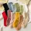 Calcetines de Piso para Mujer Transfronterizos Gruesos de Visón Calcetines de Terciopelo Cálidos Joker con Forro Polar Calcetines de Color Sólido Hogar Otoño e Invierno