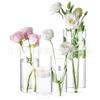 Juego de Jarrones Pequeños Decorativos de Vidrio Vintage Transparente Estilo Ins, Jarrón de Flores y Botella de Aromaterapia, El Más Vendido Transfronterizo con un Toque de Lujo