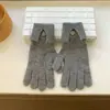 Guantes para Mujer Otoño e Invierno Estilo Nuevo Muñeca Extendida Guantes Cálidos Guantes de Punto de Color Sólido Simples