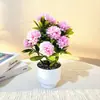 Atacado Transfronteiriço 12 Bolas Pequenas de Flor de Crisântemo Chuva Pedra Flor Artificial Flor de Lótus Artificial Arranjo de Jardim Quintal Flor de Crisântemo Falsa Planta Verde Planta em Vaso