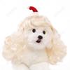 Nova peruca para animais de estimação gato cão universal de natal onda grande cabelo longo encaracolado festa de feriado cosplay bonito chapéu