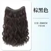 Postizo de pelo ondulado de agua, pelo largo para mujer, de una pieza, simulación sin costuras, invisible, para aumentar el cabello, ambiente de otoño e invierno, postizo rizado