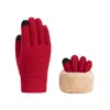 Luvas de dupla camada novas transfronteiriças com forro de fleece, espessadas, jacquard de fleece ártico, luvas quentes de inverno para ciclismo e esqui
