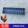 Alimentador automático para patos y gansos para cría de pollos bebedero comedero para patos comedero de polipropileno grueso comedero para aves de corral bebedero