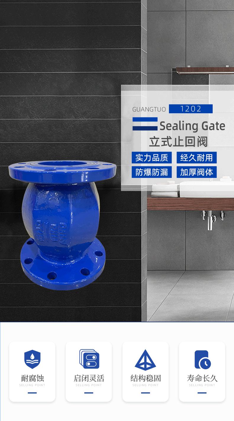 立式止回阀详情页光拓_01.gif