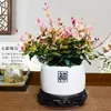 [Piedra Colgante de Flores y Hojas] Plantas Verdes Trepadoras Coloridas, Plantas de Flores en Maceta de Escritorio en la Oficina, Fáciles de Cultivar, Resistentes al Calor y al Frío