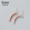 S925 Brincos de Zircão Longo de Prata Esterlina para Mulheres Internet Celebridade Banquete Luz Borla de Luxo Elegante Rosto Redondo Brincos de Emagrecimento