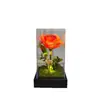 Cúpula de Vidro com Flor Eterna Transfronteiriça Rosa Luz Led 520 Presente de Dia dos Namorados para Namorada Luz Noturna Atmosférica Decorativa