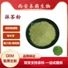 Polvo de Matcha Extracto de Matcha Productos Horneados Grado Alimenticio Soluble en Agua Fabricante Stock Listo