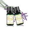 Óleo Essencial 10ml Máquina de Aromaterapia Limão Lavanda Doce Laranja Rosa Camomila Alecrim Sândalo Óleo Essencial Vegetal