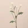 Diente de león de simulación Decoración de habitación modelo para sala de estar en casa Plantas verdes Escenario para sala de transmisión en vivo Plantas artificiales Arreglo floral Accesorios para fotografía